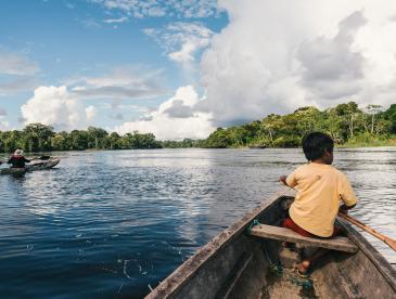 boy paddling a rowboat with trees in the distance